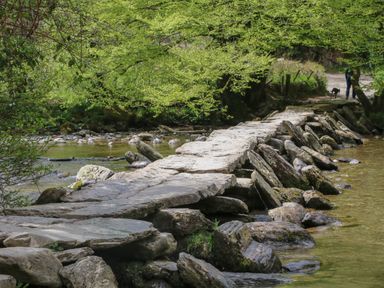 A stone footbridge crossing a shallow river with trees in the background at The Outlook in Crowcombe