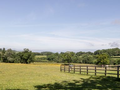A grassy field with a wooden fence and trees in the background at The Outlook in Crowcombe