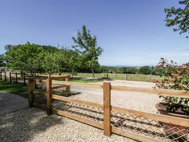 A fenced gravel driveway with trees and a potted plant near a field at The Outlook in Crowcombe