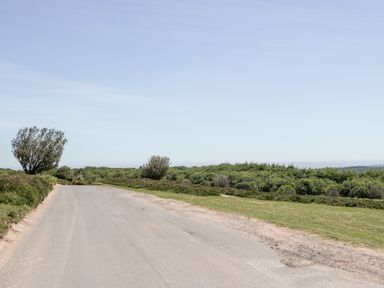 A paved road with bushes and small trees on both sides under a clear sky at The Outlook in Crowcombe