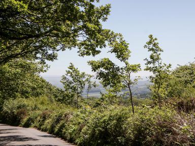 A country road with trees and bushes alongside overlooking fields and hills at The Outlook in Crowcombe