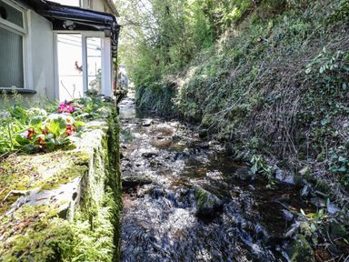 A narrow stream flowing between a house with flowers and greenery on the left and a mossy embankment on the right at Small Piece in Porlock