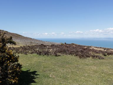 A grassy hillside with bushes overlooking the sea under a clear sky at Small Piece in Porlock
