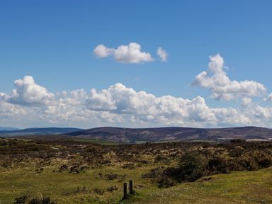 A grassy open landscape with bushes and hills under a blue sky with clouds at Small Piece in Porlock