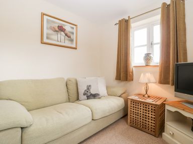 A small seating area with a beige sofa a cushion with a rabbit design a side table with a lamp a window with brown curtains and a TV in a corner at The Coal House at Mendip View Wedmore