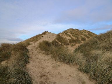 Sand dunes covered with grass under a cloudy sky at McAuliffe Lodge in Borth