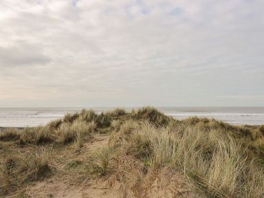 A sandy beach with grass-covered dunes and the sea in the background at McAuliffe Lodge in Borth