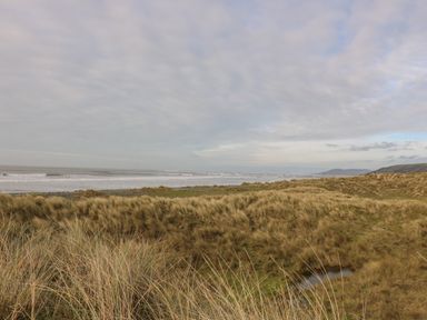 Coastal dunes with dry grass and ocean waves in the background at McAuliffe Lodge in Borth