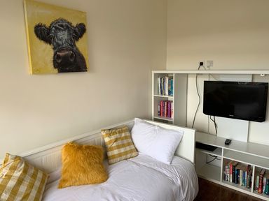 A bedroom with a bed with pillows a mounted television and shelves with books at A Stone's Throw in Alnmouth