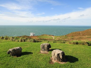 A grassy hill with sculptures of three sheep overlooking the sea at Glasfryn in Holyhead