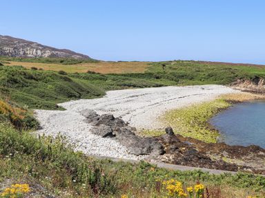 A rocky beach with green vegetation and hills in the background at Glasfryn in Holyhead