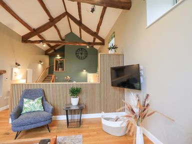 A living room with a gray armchair small table with plant wall mounted tv and wooden beams at Old Howgate Barn Outgate near Hawkshead
