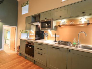 A kitchen with green cabinets a microwave an oven and a double sink at Old Howgate Barn Outgate near Hawkshead