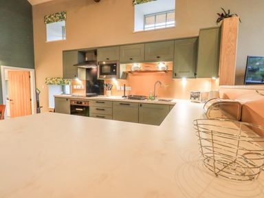 A kitchen with green cabinets a built in oven microwave and sink at Old Howgate Barn Outgate near Hawkshead