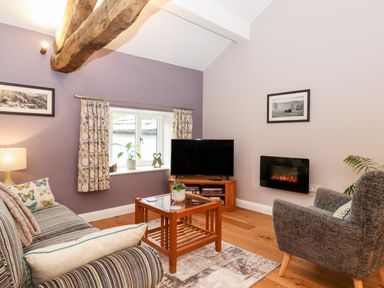 A living room with a striped sofa a gray armchair a wooden coffee table a television and a small electric fireplace at Low Ashmead Cottage Hawkshead