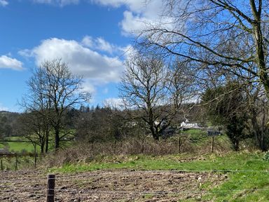A rural landscape with bare trees grassy fields and a few buildings in the background at Low Ashmead Cottage in Hawkshead
