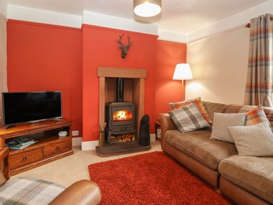 A living room with a leather sofa blue plaid cushions wood burning stove and television at Rayside Ullswater