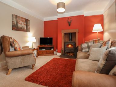 A living room with a wood burning stove and TV at Rayside in Ullswater