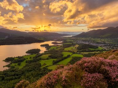 A landscape with a lake surrounded by green fields hills and purple flowers at Rayside Ullswater
