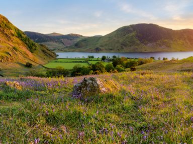 A hillside with purple flowers and a rock overlooking a lake and green fields with mountains in the background at Rayside in Ullswater