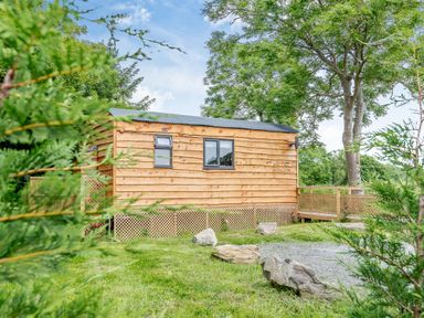 A wooden lodge with a metal roof surrounded by trees and grass at Stag Lodge Pod in Llanfair Caereinion