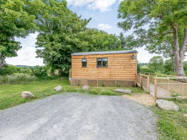 A wooden cabin with a metal roof surrounded by trees and grass at Stag Lodge Pod in Llanfair Caereinion