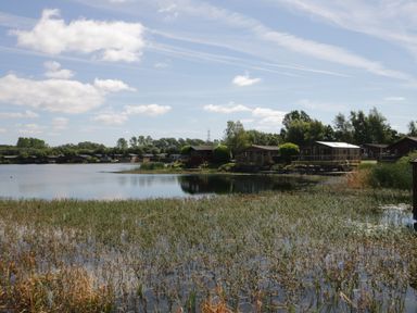 A lake with reeds in the foreground and wooden lodges along the shore at Lakeland Dream @ South Lakeland Leisure Lodge in Warton