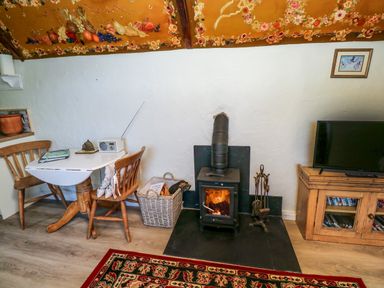 A room with a wood stove burning a fire near a small table with two chairs and a television on a wooden cabinet at Toad Hall Cottage Hutcherleigh near Blackawton