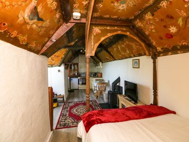 A room with a bed a red rug a wood stove a TV a dining table and a kitchen with a painted ceiling at Toad Hall Cottage in Hutcherleigh near Blackawton