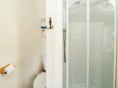 A bathroom with a toilet and a shower with glass doors at Toad Hall Cottage in Hutcherleigh near Blackawton