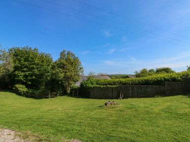 A grassy yard with a tree stump and wooden fences surrounded by trees at Toad Hall Cottage Hutcherleigh near Blackawton
