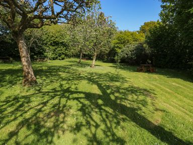 A grassy garden area with trees and wooden picnic tables at Toad Hall Cottage in Hutcherleigh near Blackawton