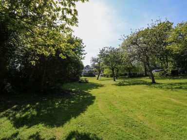 A grassy garden area with trees and picnic tables at Toad Hall Cottage in Hutcherleigh near Blackawton