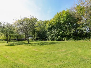 A grassy garden area with trees and picnic benches at Toad Hall Cottage Hutcherleigh near Blackawton