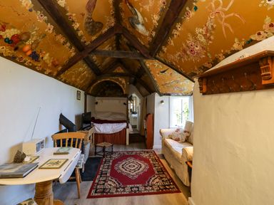 A small room with a bed at the end a red carpet a white sofa and a wooden table with chairs under a ceiling with floral and bird paintings at Toad Hall Cottage in Hutcherleigh near Blackawton