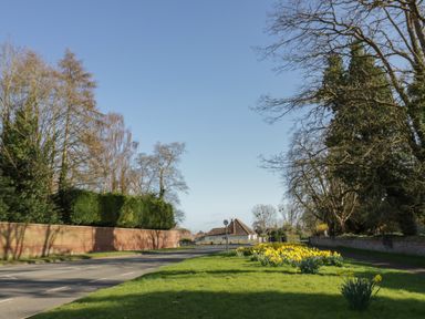 A road with a brick wall on the left and trees on both sides with yellow flowers on grass at Coach House Mews in Alderminster