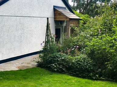 A garden with green grass flowers and shrubs beside a white building with a small wooden porch at Primrose End in Jacobstow