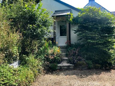 A white house entrance with a small porch surrounded by dense green bushes and plants at Primrose End in Jacobstow