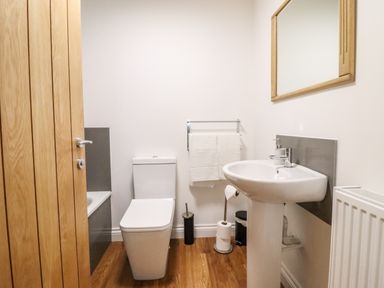 A bathroom with a toilet sink mirror towel rack and wooden door at The Bull Inn in Deiniolen