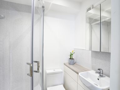 A bathroom with a glass shower, a toilet, a sink, a mirrored cabinet, and a plant on the countertop at Bryn Afon Farm in Llanrug