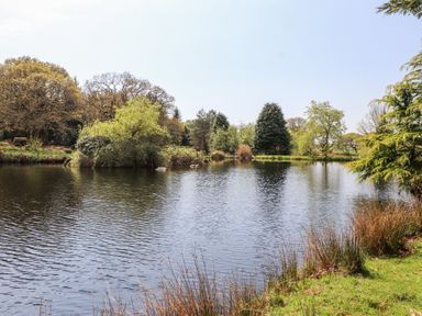 A pond surrounded by trees and grass at Garden Cottage in Garndolbenmaen near Tremadog