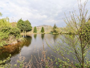 A pond surrounded by trees and bushes with a mountain in the background at Garden Cottage in Garndolbenmaen near Tremadog