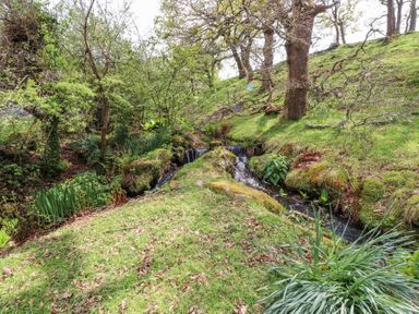 A small stream flowing through a grassy area with trees and plants at Garden Cottage in Garndolbenmaen near Tremadog