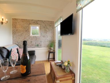 A small living room with a leather sofa pillows a wooden table with a bottle and glasses a wall map a mounted TV a window and a chest with flowers at Shepherds Hut in Colton near Rugeley Staffordshire