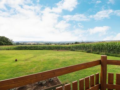 A fenced grassy yard with chickens and a cornfield in the background at Shepherds Hut in Colton near Rugeley Staffordshire