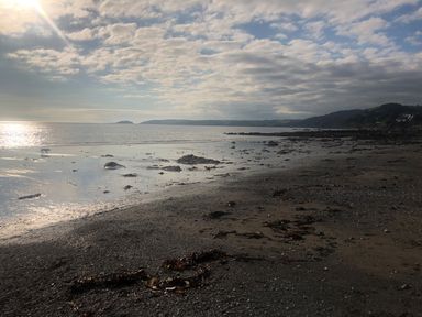 A rocky beach with seaweed scattered on the shore and a dog near the water at Ocean View in Downderry