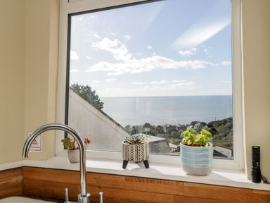 A kitchen window with a faucet and three potted plants on the sill overlooking the sea at Ocean View in Downderry