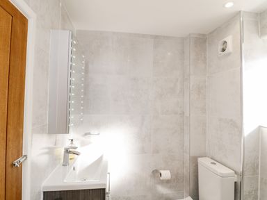 A bathroom with a sink vanity and mirror cabinet next to a toilet at Ocean View in Downderry