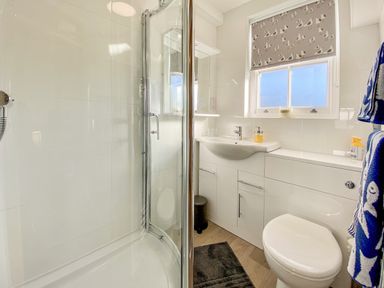 A bathroom with a curved glass shower cubicle a sink and toilet under a window with a bird-patterned blind at Pilchard Cottage in Brixham