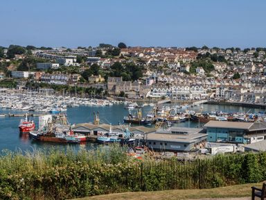 A harbor with boats docked near buildings and houses on a hillside at Pilchard Cottage in Brixham